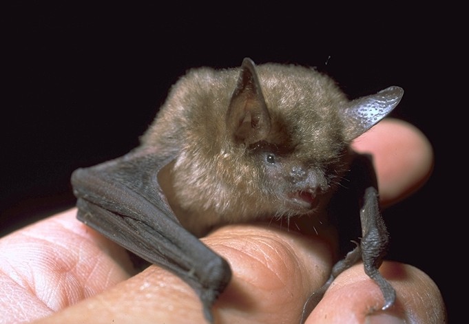 Source : ONF Source : ONF