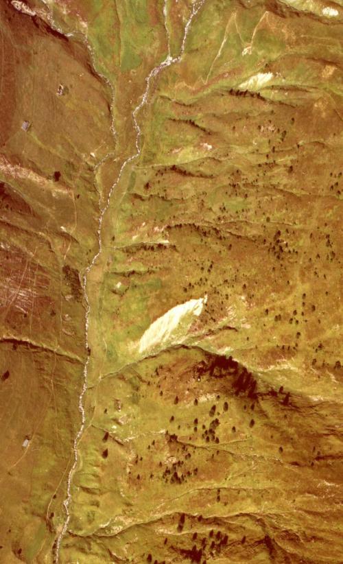 Vallon du Bastan de Sers 1978: des espaces
            naturels peu colonisés par l'Epicéa commun
