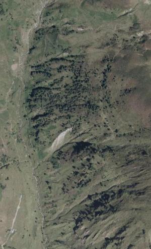 Vallon du Bastan de Sers 2001: des espaces libres
            colonisés par l'Epicéa commun